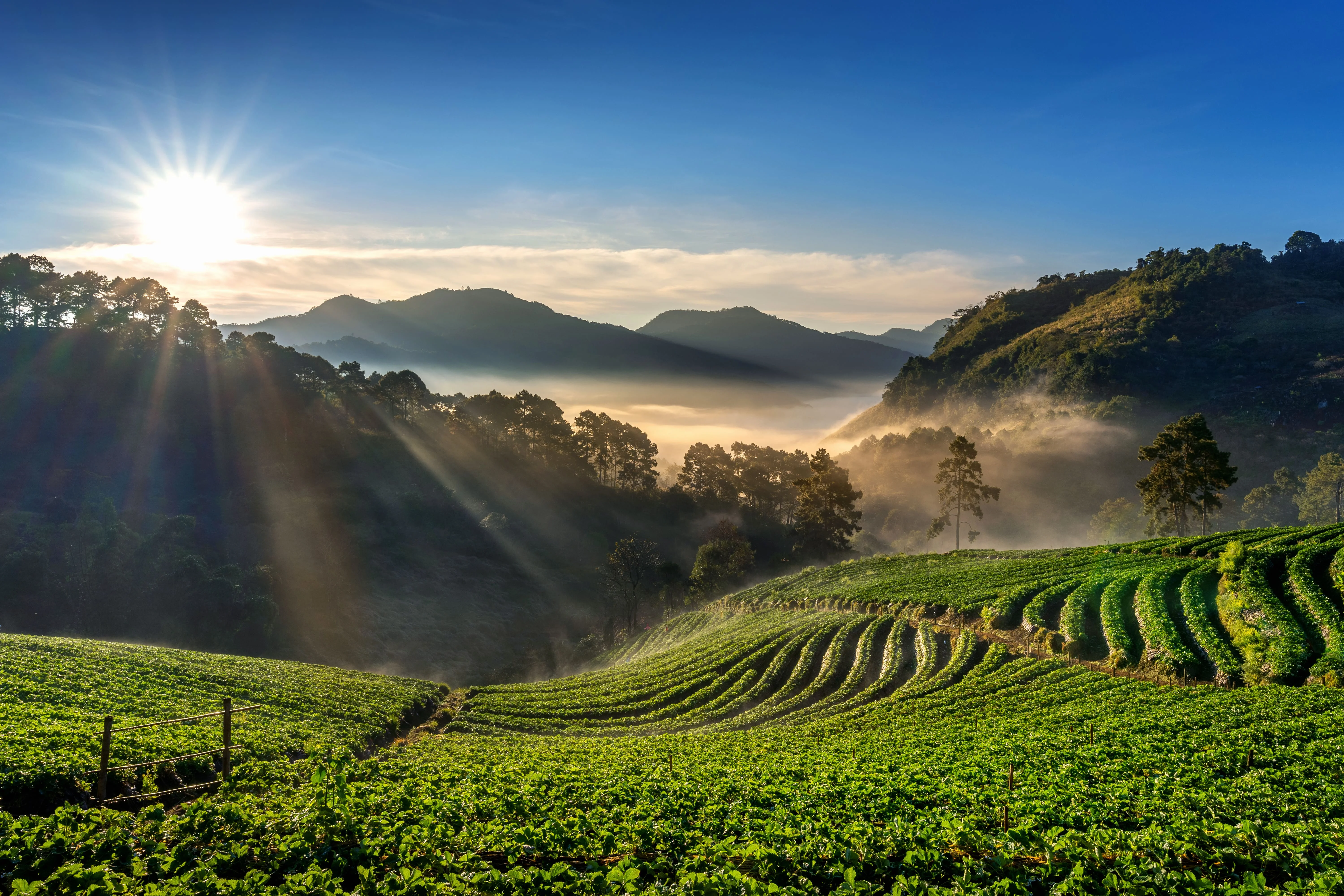 Sunrise in mountains