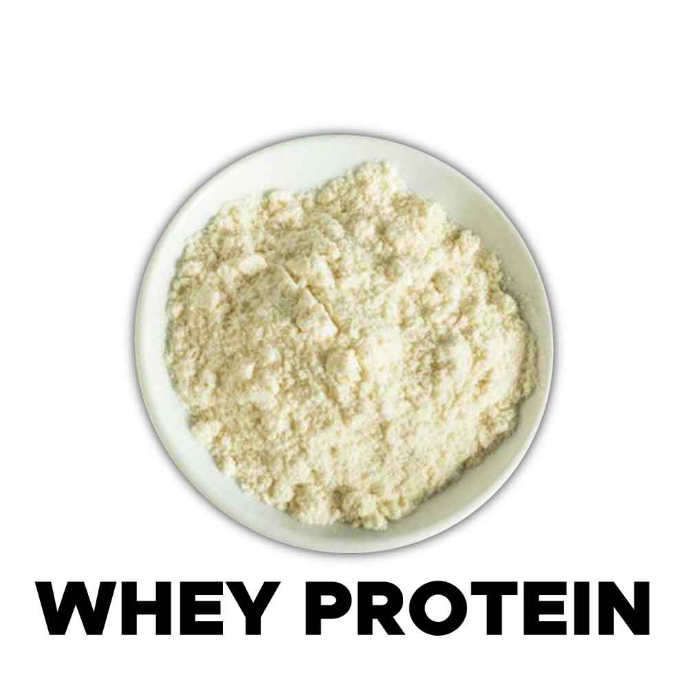 image of whey protein